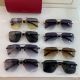 Cartier Premiere Fading lens Men Sunglasses T8200766 (9)_th.jpg